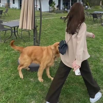 鄂尔多斯情歌