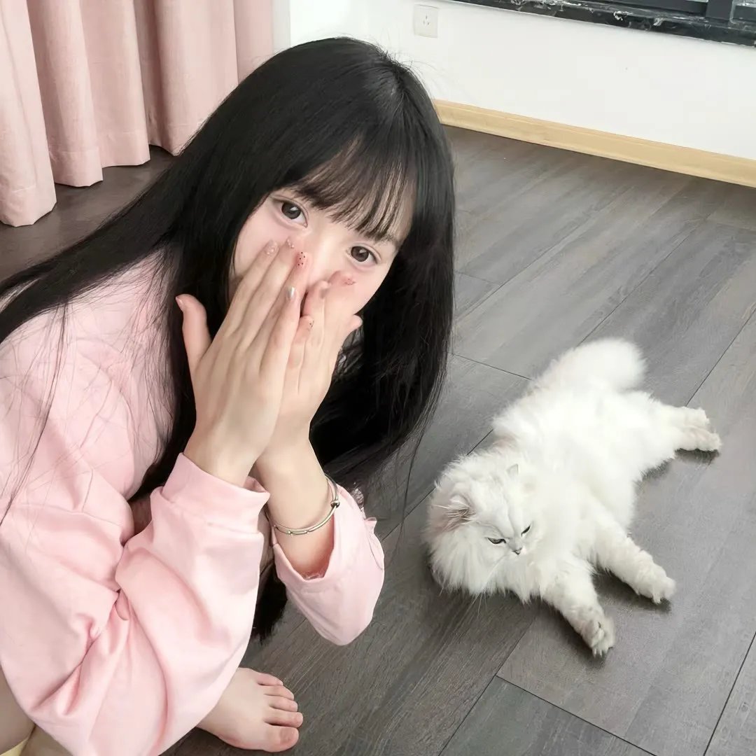 孤鸟罗宾